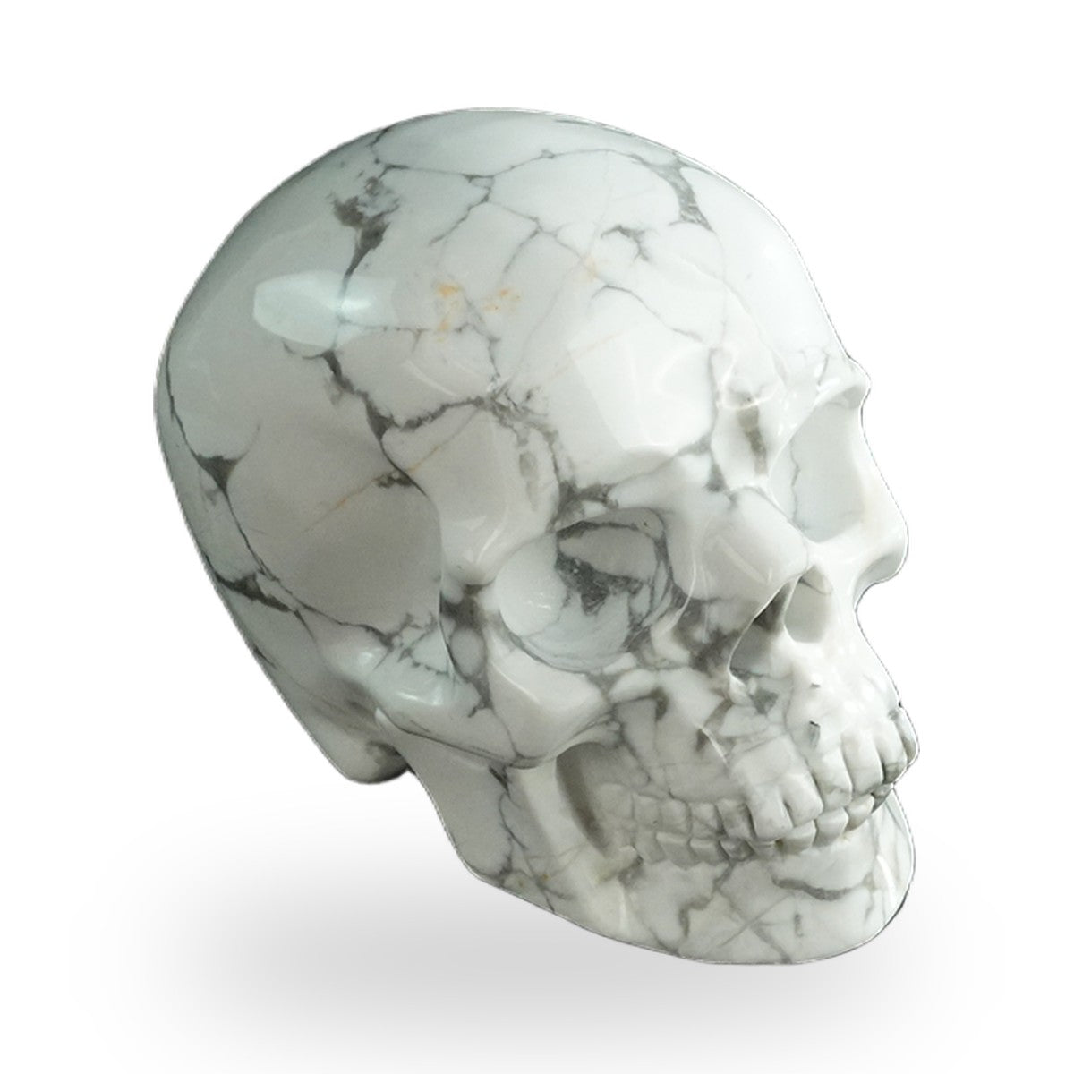 Howlite crystal skull 3" SKH30HL07 photo 3