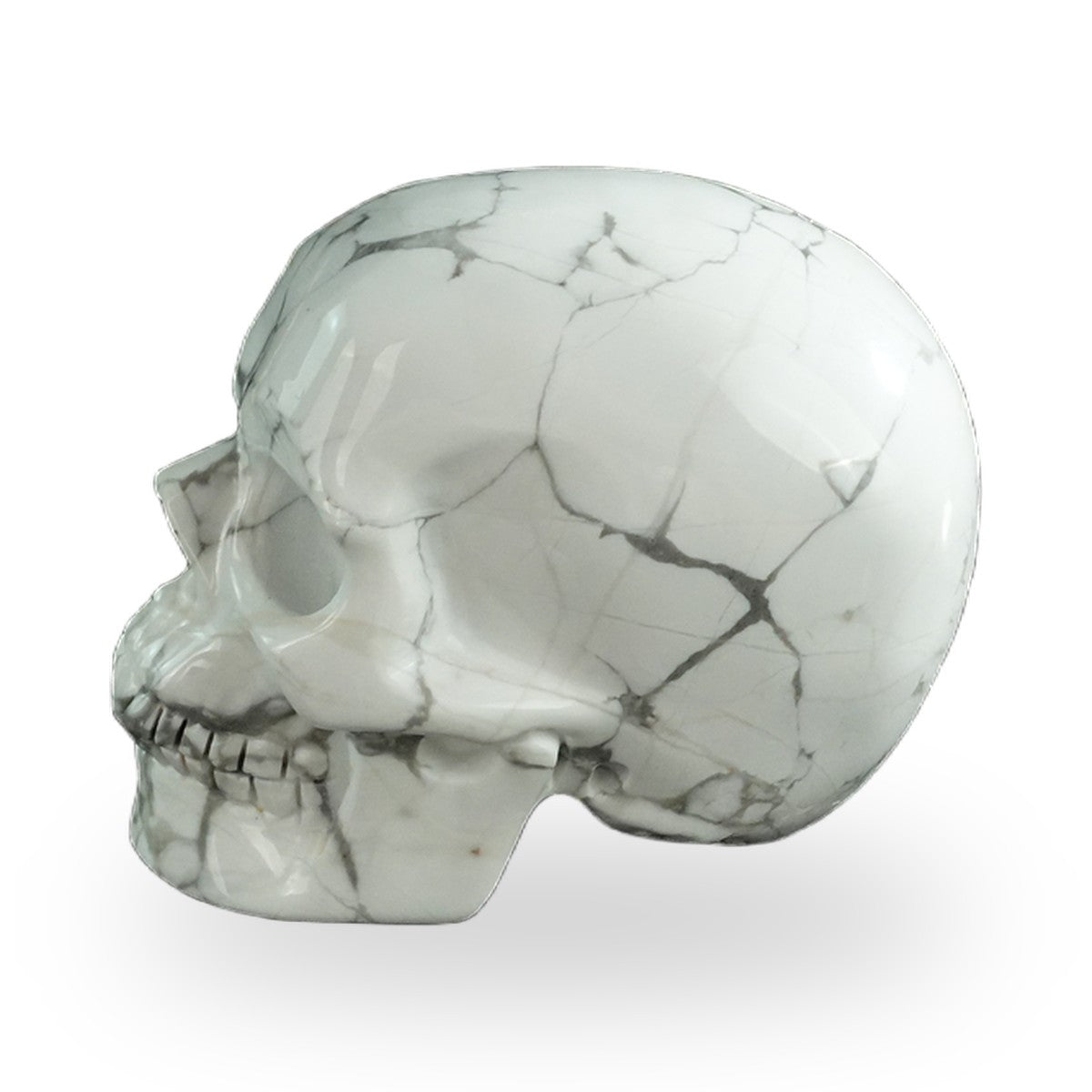 Howlite crystal skull 3" SKH30HL07 photo 6