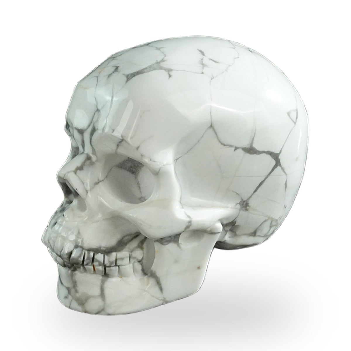Howlite crystal skull 3" SKH30HL07 photo 7