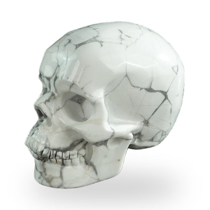 Howlite crystal skull 3" SKH30HL07 photo 7