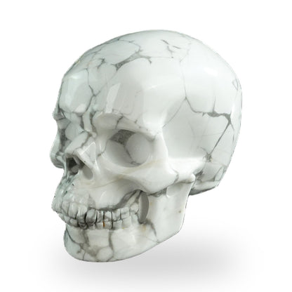 Howlite crystal skull 3" SKH30HL07 photo 8