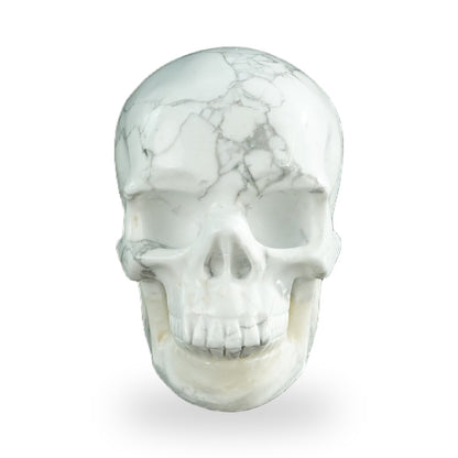Howlite crystal skull 3" SKH30HL08 photo 1