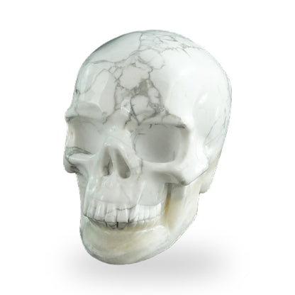 Howlite crystal skull 3" SKH30HL08 photo 2