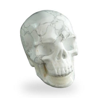 Howlite crystal skull 3" SKH30HL08 photo 3