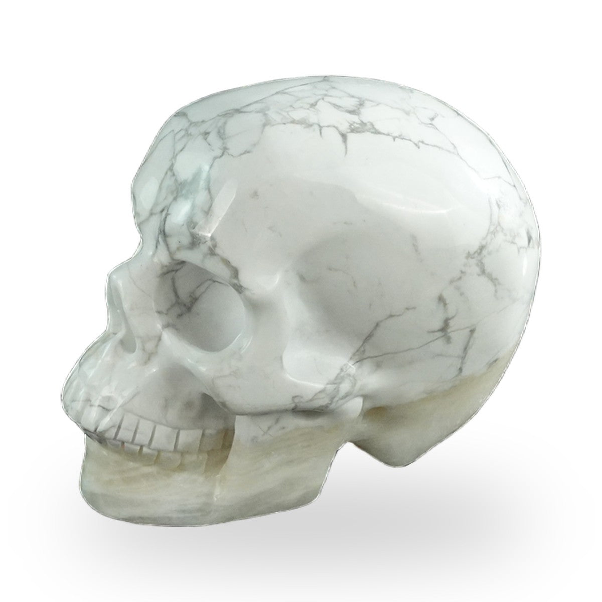 Howlite crystal skull 3" SKH30HL08 photo 7