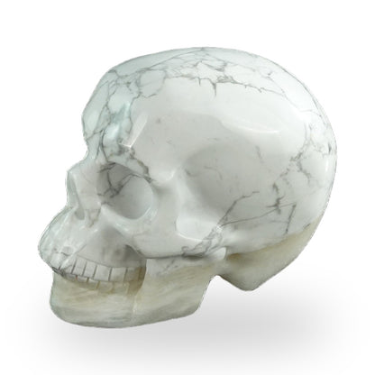 Howlite crystal skull 3" SKH30HL08 photo 7