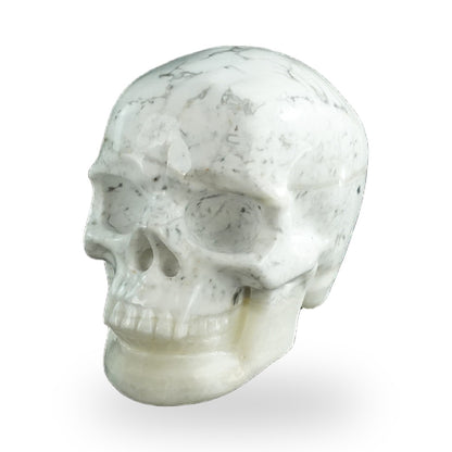 Howlite crystal skull 3" SKH30HL09 photo 2