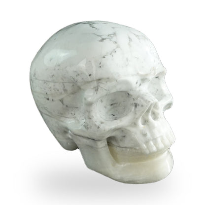 Howlite crystal skull 3" SKH30HL09 photo 4