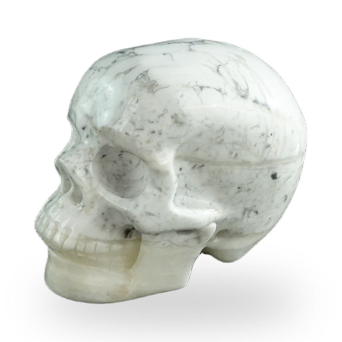 Howlite crystal skull 3" SKH30HL09 photo 7