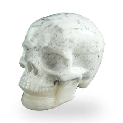 Howlite crystal skull 3" SKH30HL09 photo 8