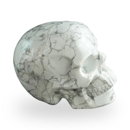 Howlite crystal skull 3" SKH30HL10 photo 4