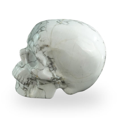 Howlite crystal skull 3" SKH30HL10 photo 5