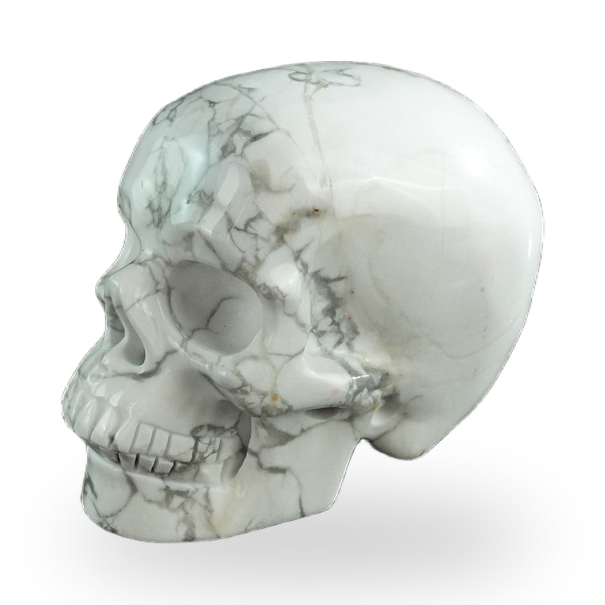 Howlite crystal skull 3" SKH30HL10 photo 6