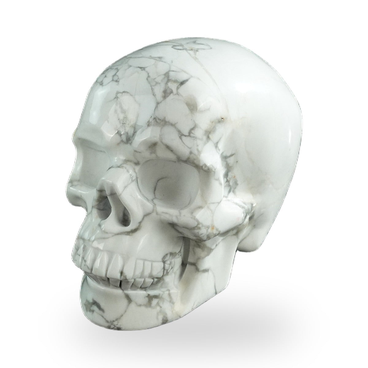 Howlite crystal skull 3" SKH30HL10 photo 7