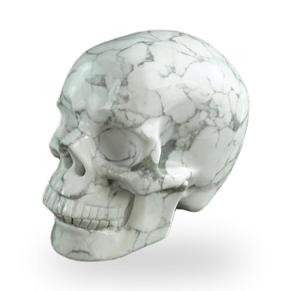 Howlite crystal skull 3" SKH30HL11 photo 6