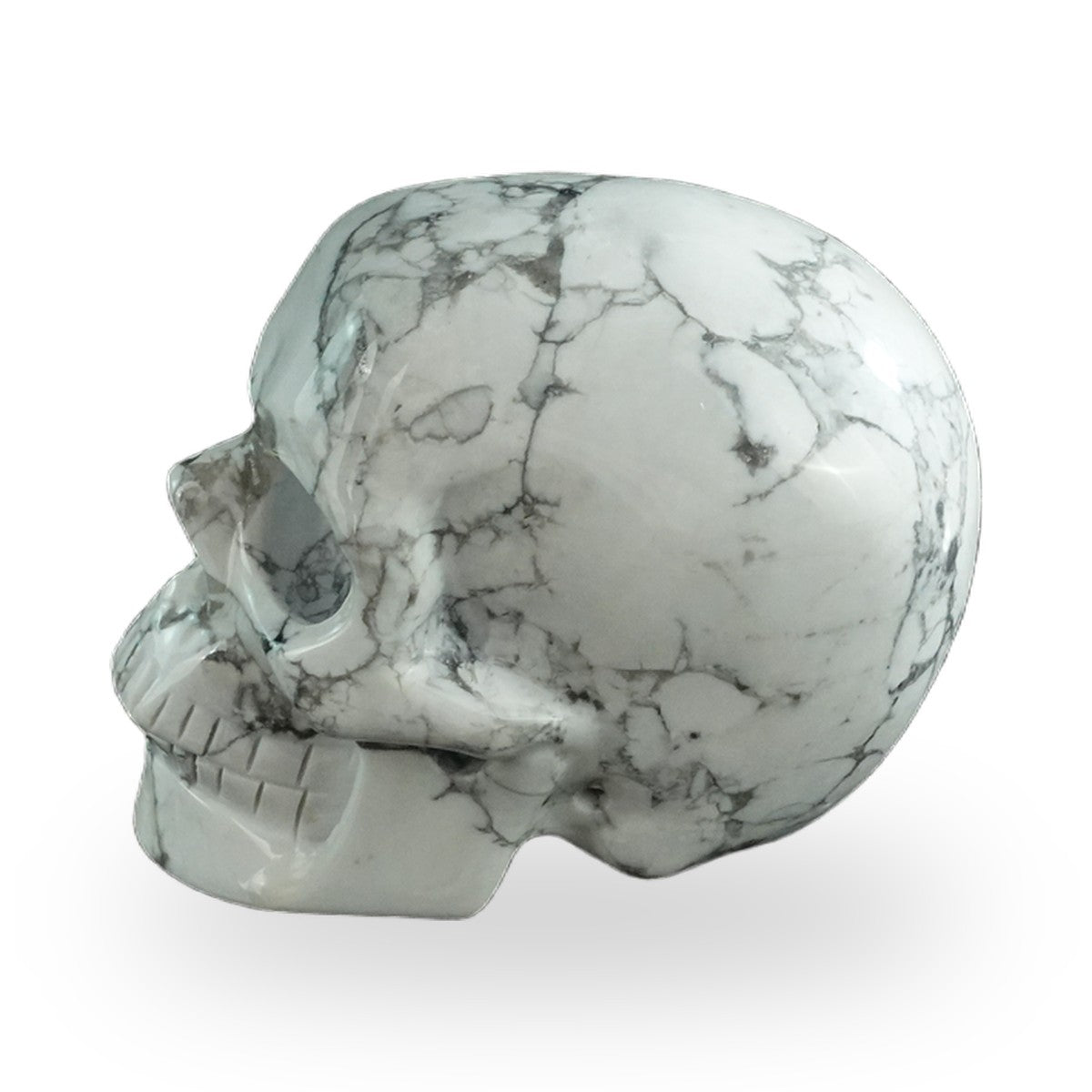 Howlite crystal skull 3" SKH30HL12 photo 6