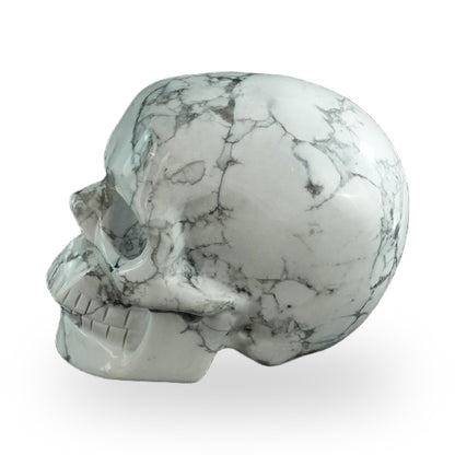Howlite crystal skull 3" SKH30HL12 photo 6