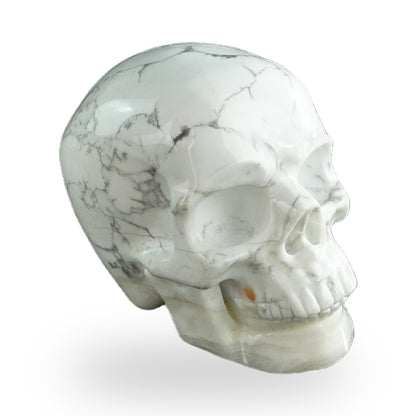 Howlite crystal skull 3" SKH30HL13 photo 3
