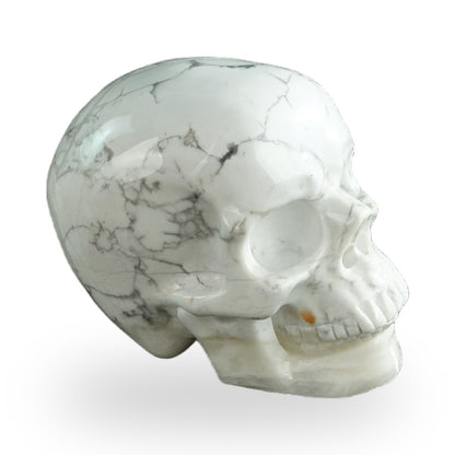 Howlite crystal skull 3" SKH30HL13 photo 4