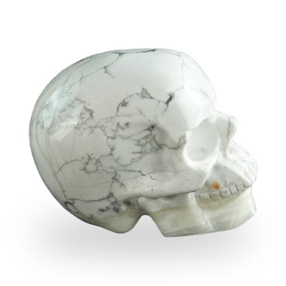 Howlite crystal skull 3" SKH30HL13 photo 5