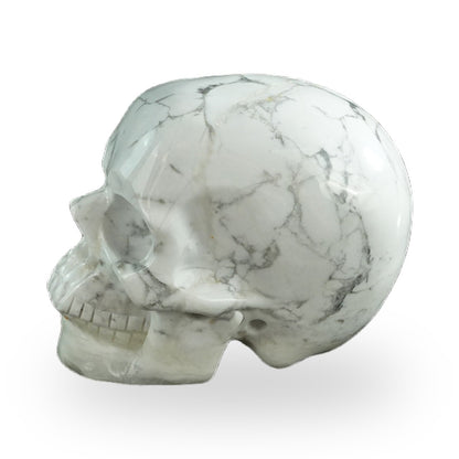 Howlite crystal skull 3" SKH30HL13 photo 6