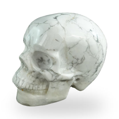 Howlite crystal skull 3" SKH30HL13 photo 7