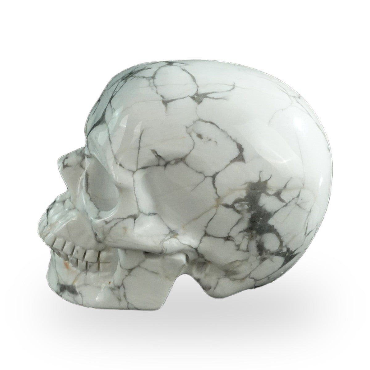 Howlite crystal skull 3" SKH30HL14 photo 5