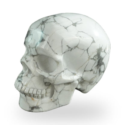 Howlite crystal skull 3" SKH30HL14 photo 6