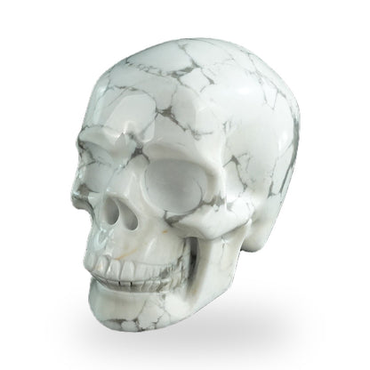 Howlite crystal skull 3" SKH30HL15 photo 2