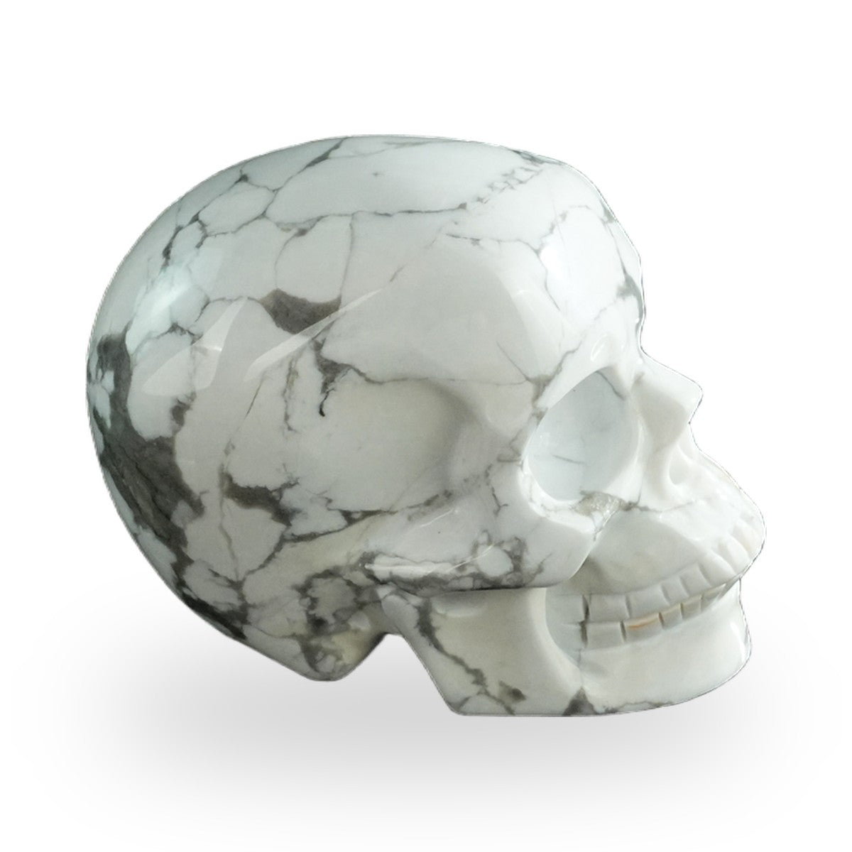 Howlite crystal skull 3" SKH30HL15 photo 5