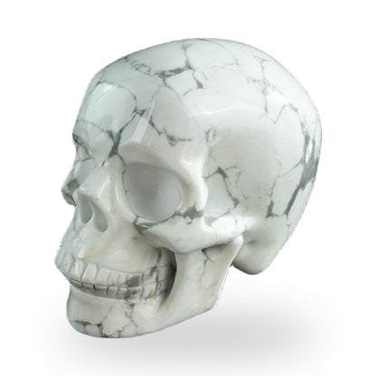 Howlite crystal skull 3" SKH30HL15 photo 8