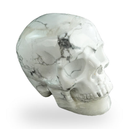 Howlite crystal skull 3" SKH30HL16 photo 3