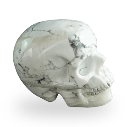 Howlite crystal skull 3" SKH30HL16 photo 4