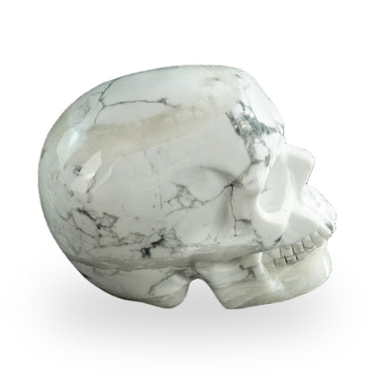 Howlite crystal skull 3" SKH30HL16 photo 5
