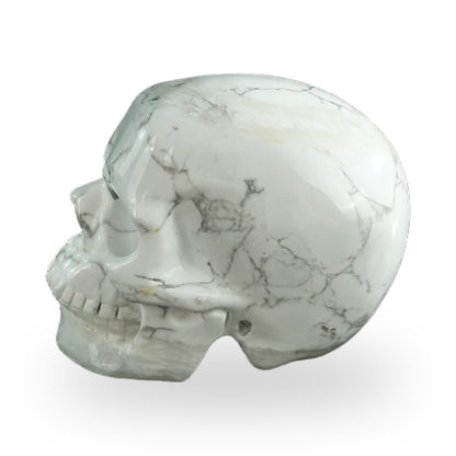 Howlite crystal skull 3" SKH30HL16 photo 6