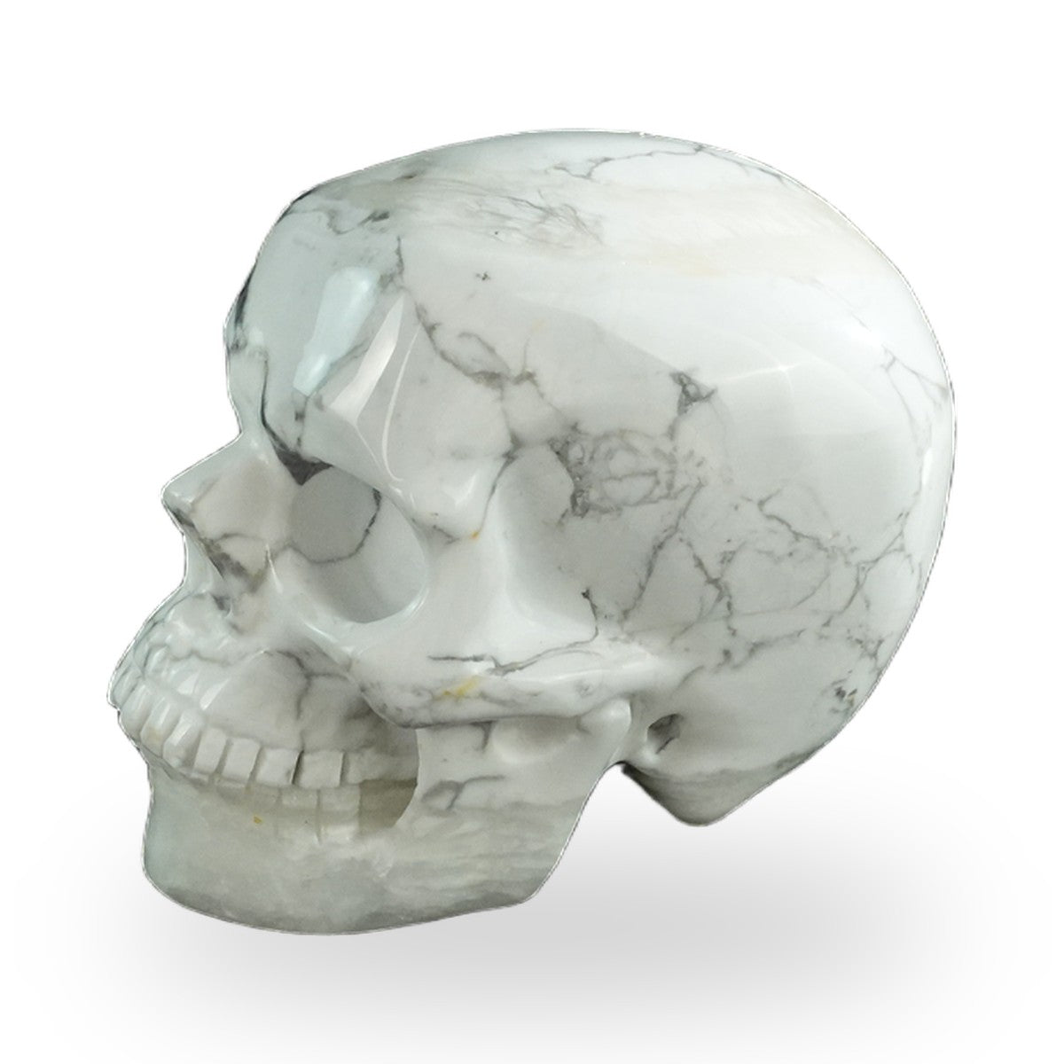 Howlite crystal skull 3" SKH30HL16 photo 7