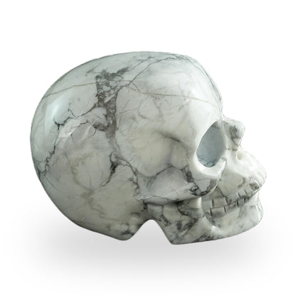 Howlite crystal skull 3" SKH30HL18 photo 5