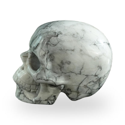 Howlite crystal skull 3" SKH30HL18 photo 6
