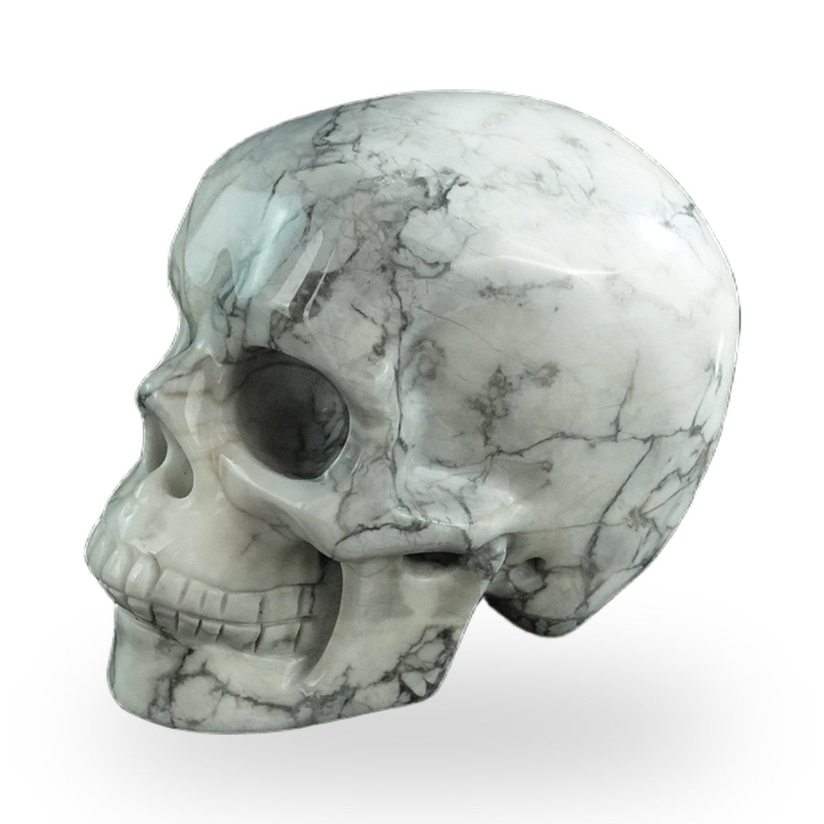 Howlite crystal skull 3" SKH30HL18 photo 7