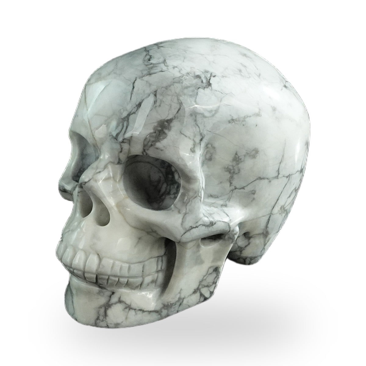 Howlite crystal skull 3" SKH30HL18 photo 8