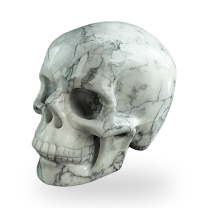 Howlite crystal skull 3" SKH30HL18 photo 8