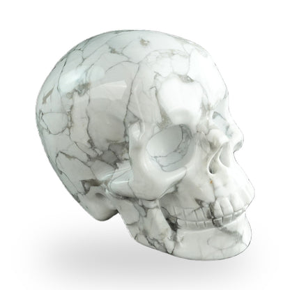 Howlite crystal skull 3" SKH30HL19 photo 3