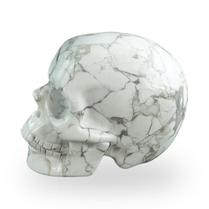 Howlite crystal skull 3" SKH30HL19 photo 5
