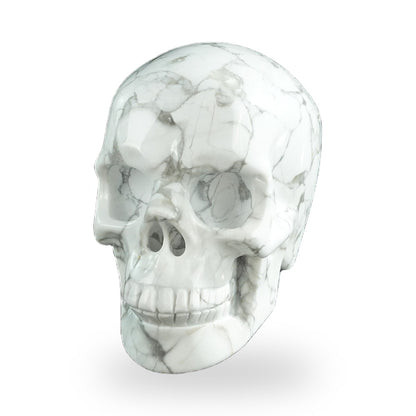 Howlite crystal skull 3" SKH30HL19 photo 7