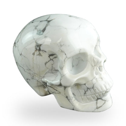 Howlite crystal skull 3" SKH30HL20 photo 4