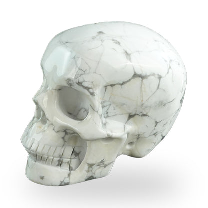 Howlite crystal skull 3" SKH30HL20 photo 7