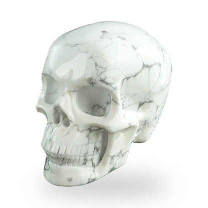 Howlite crystal skull 3" SKH30HL20 photo 8