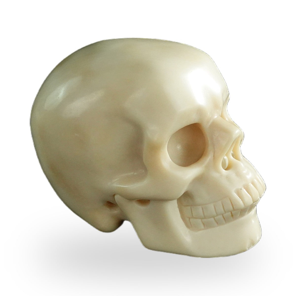 Ivory Jade crystal skull 3" SKH30IJ01 view 4