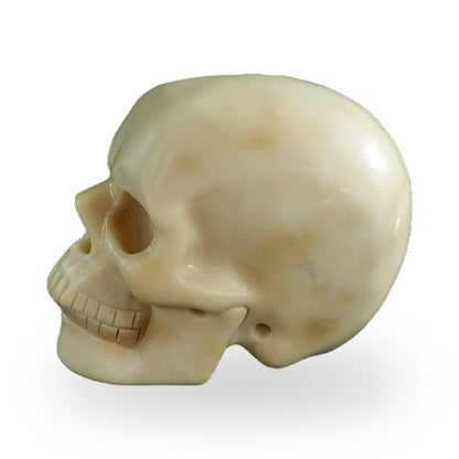 Ivory Jade crystal skull 3" SKH30IJ01 view 6