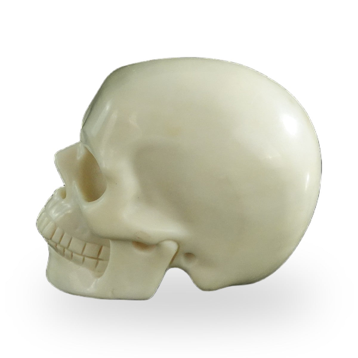Ivory Jade crystal skull 3" SKH30IJ04 photo 6